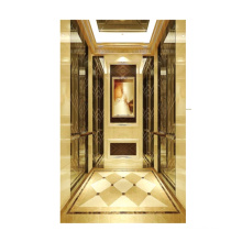 Widely Used Superior Quality Professional Homes Passenger Elevator In China